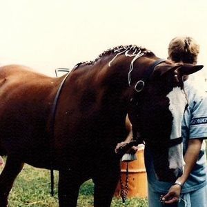 Meet your Posher, Genene